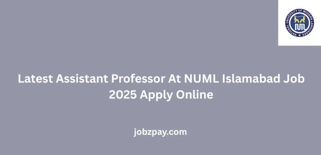 Latest Assistant Professor At NUML Islamabad Job 2025 Apply Online