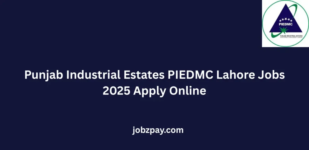 Punjab Industrial Estates PIEDMC Lahore Jobs 2025 Apply Online