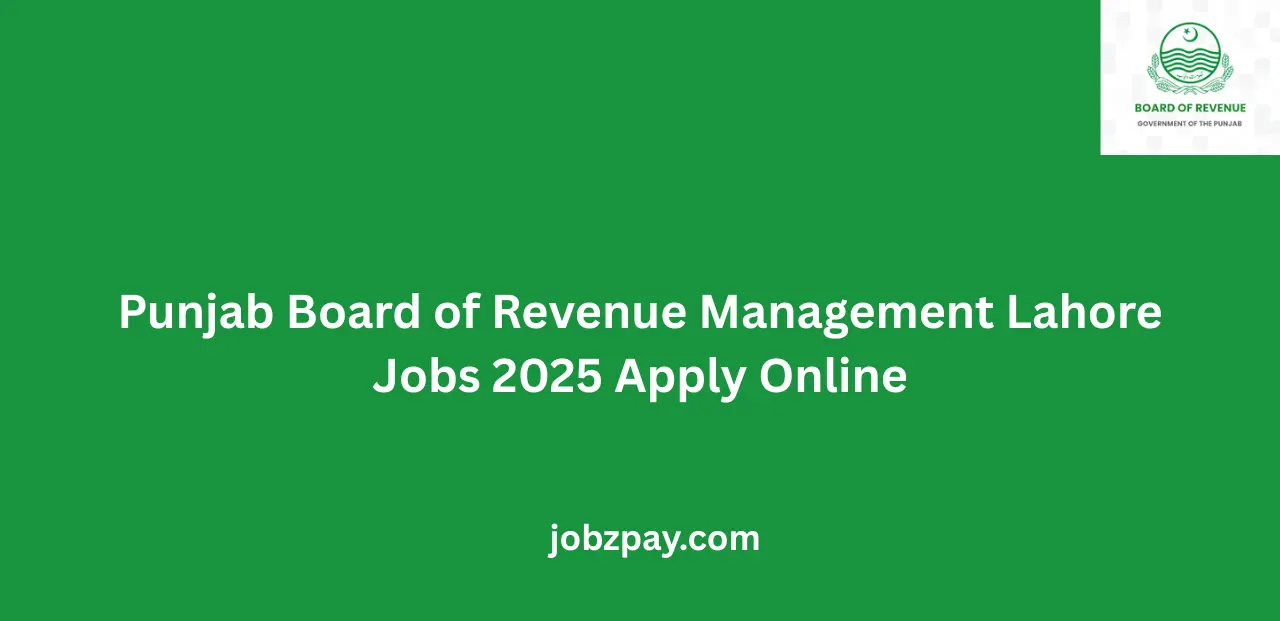 Punjab Board of Revenue Management Lahore Jobs 2025 Apply Online