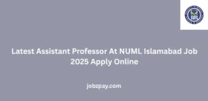 Latest Assistant Professor At NUML Islamabad Job 2025 Apply Online