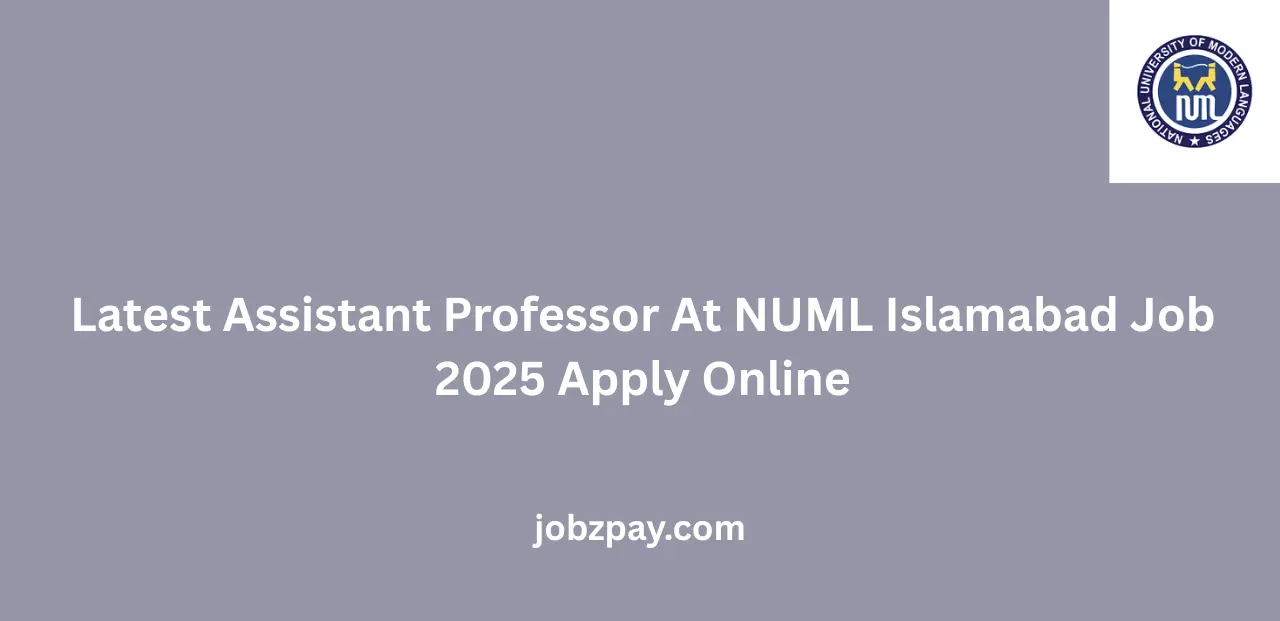 Latest Assistant Professor At NUML Islamabad Job 2025 Apply Online